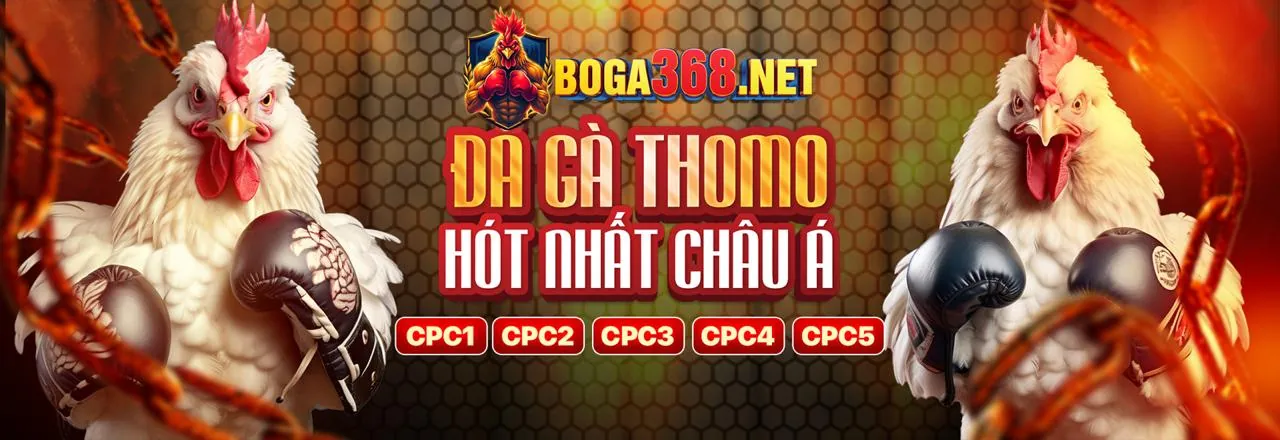 Hình ảnh minh họa Câu hỏi thường gặp về tỷ lệ kèo 88