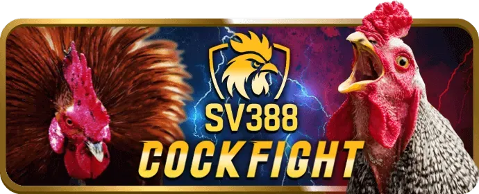 Chơi công bằng và minh bạch